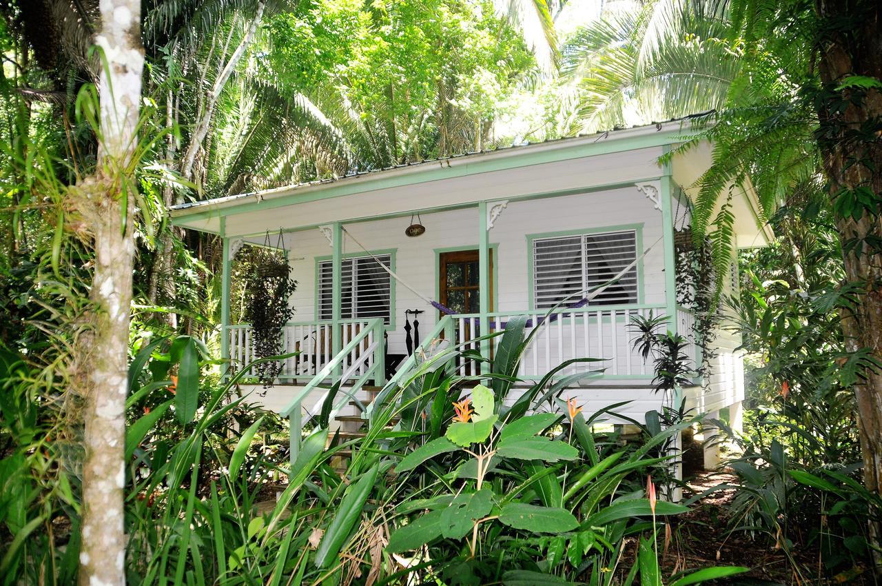 Hickatee Cottages, Belize, Central America Punta Gorda Kültér fotó