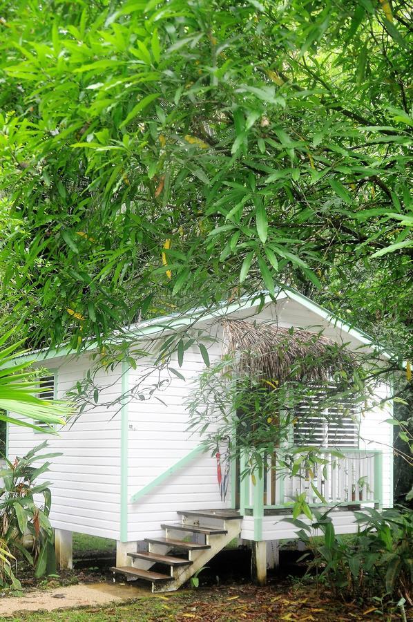 Hickatee Cottages, Belize, Central America Punta Gorda Kültér fotó