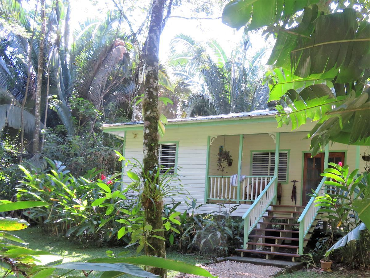 Hickatee Cottages, Belize, Central America Punta Gorda Kültér fotó